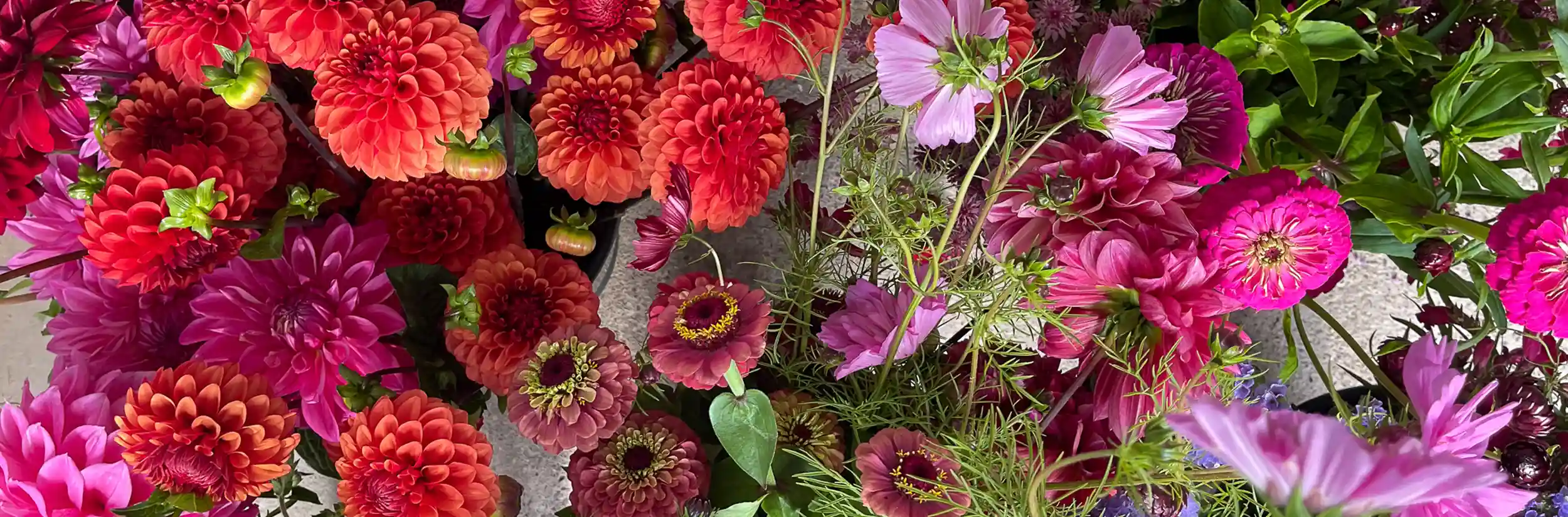 Flower Wholesalers Staffordshire