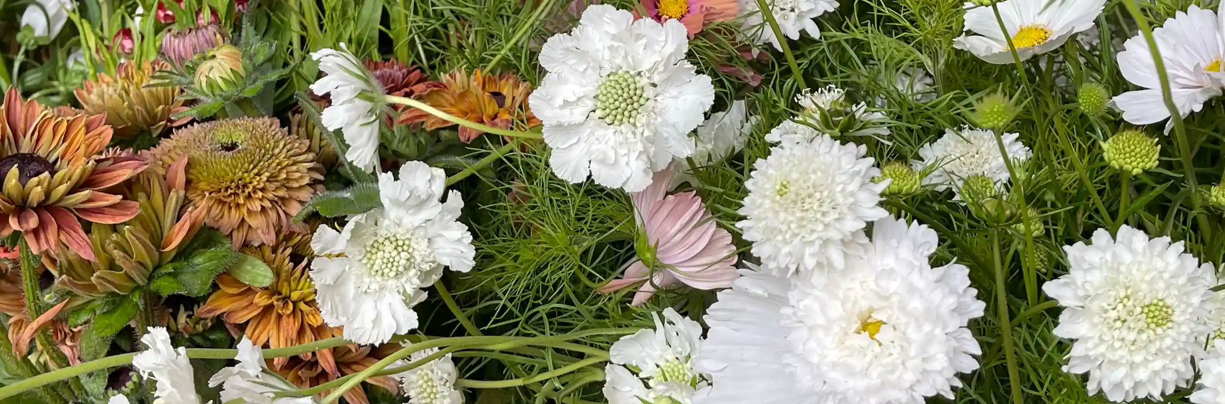 Flower Wholesalers Staffordshire